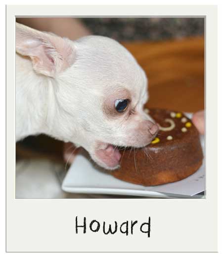 Howard avec son gâteau d'anniversaire